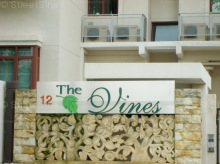 The Vines #1117432
